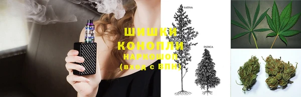 эйфоретик Аркадак