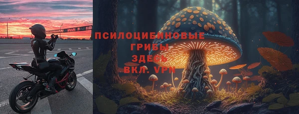 эйфоретик Аркадак