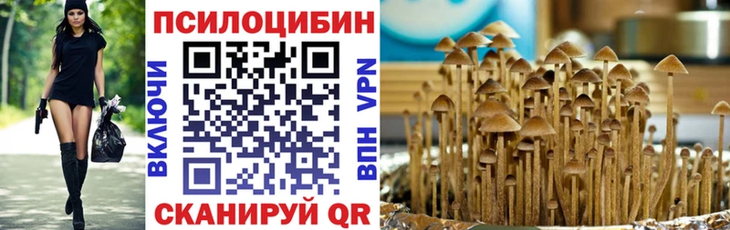 Галлюциногенные грибы Magic Shrooms Приозерск
